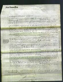 Court of Common Pleas - Caroline Johnson-Original Ancestry