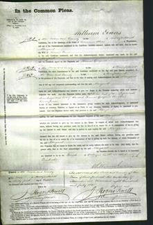 Court of Common Pleas - Margaret Owen-Original Ancestry