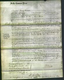 Court of Common Pleas - Anne Young-Original Ancestry