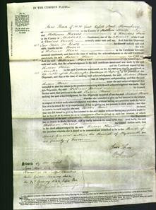 Court of Common Pleas - Susan Hean-Original Ancestry