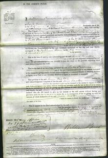 Court of Common Pleas - Ann Maton-Original Ancestry