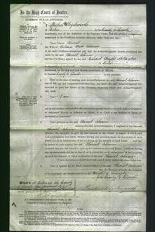 Court of Common Pleas - Harriet Johnson-Original Ancestry