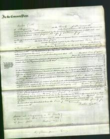 Court of Common Pleas - Ann Gwyer-Original Ancestry