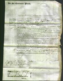 Court of Common Pleas - Elizabeth Humphrey-Original Ancestry