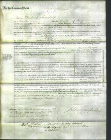 Court of Common Pleas - Elizabeth Painton-Original Ancestry