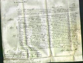 Court of Common Pleas - Mary Ann Jordan and Ellen Kain-Original Ancestry