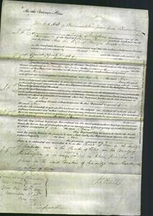 Court of Common Pleas - Ann Francies-Original Ancestry