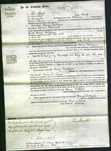 Court of Common Pleas - Nancy Dowbiggin-Original Ancestry