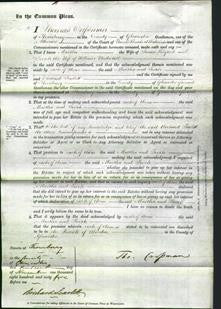 Court of Common Pleas - Martha Hilyard and Sarah Underhill-Original Ancestry