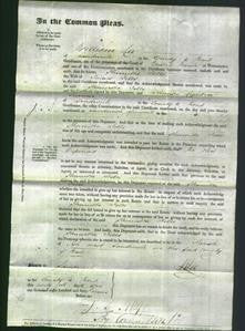 Court of Common Pleas - Henrietta Fells-Original Ancestry