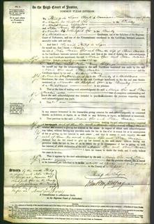 Court of Common Pleas - Maria Rew and Ellen Austin-Original Ancestry