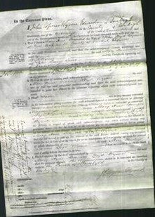 Court of Common Pleas - Mary Anne Frances Wynne-Original Ancestry