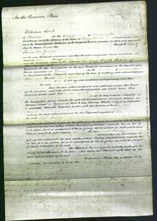 Court of Common Pleas - Sarah Stainer-Original Ancestry