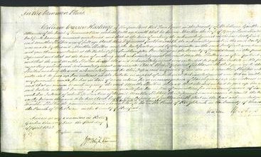 Court of Common Pleas - Martha Shelton-Original Ancestry