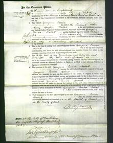 Court of Common Pleas - Georgina Louisa Hullett-Original Ancestry