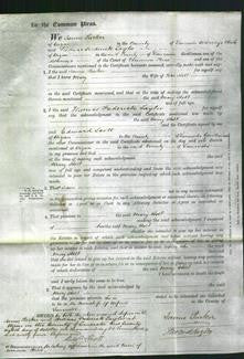 Court of Common Pleas - Mary Holt-Original Ancestry