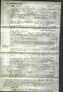 Court of Common Pleas - Mary Smith-Original Ancestry