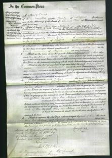 Court of Common Pleas - Mary Ann Holland and Caroline Beach-Original Ancestry