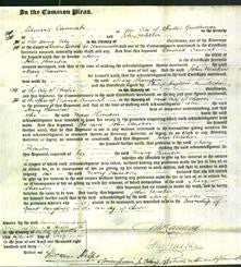 Court of Common Pleas - Mary Thornton-Original Ancestry