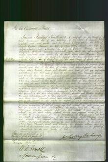 Court of Common Pleas - Mary Ann Tinker, Hannah Steel, Sarah Tinker and Martha Brierley-Original Ancestry