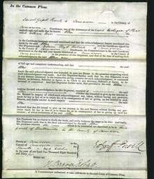 Court of Common Pleas - Ellen Jones-Original Ancestry