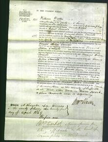 Court of Common Pleas - Frances Helen Daniels-Original Ancestry