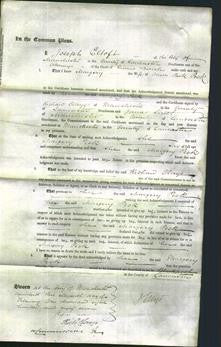 Court of Common Pleas - Margery Peck-Original Ancestry