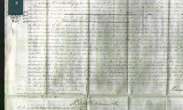 Court of Common Pleas - Sarah Cousin-Original Ancestry