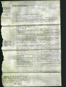 Court of Common Pleas - Ann Batchelor-Original Ancestry