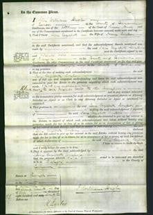 Court of Common Pleas - Jane Elizabeth Simpson-Original Ancestry