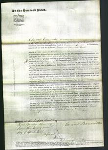 Court of Common Pleas - Theodosia Elizabeth Buck-Original Ancestry