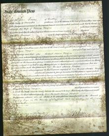 Court of Common Pleas - Maria Harper-Original Ancestry