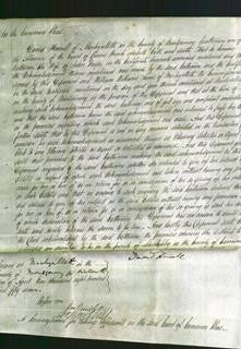 Court of Common Pleas - Catherine Vughe-Original Ancestry