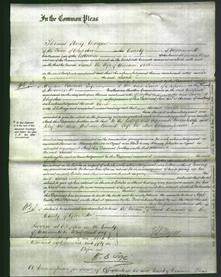 Court of Common Pleas - Sarah Hoit-Original Ancestry
