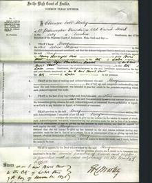 Court of Common Pleas - Mary Stearn-Original Ancestry