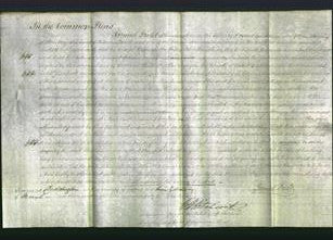 Court of Common Pleas - Hannah Parish-Original Ancestry