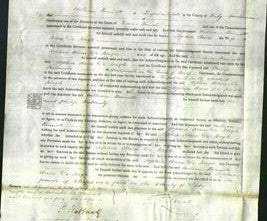 Court of Common Pleas - Sophia Anne de Jongh-Original Ancestry