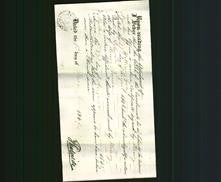 Notarial Certificate - Henry Newton and William Gray-Original Ancestry