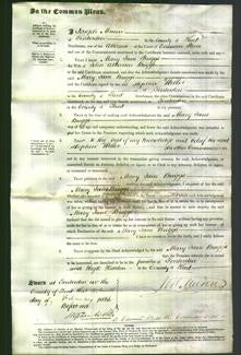 Court of Common Pleas - Mary Jane Briggs-Original Ancestry