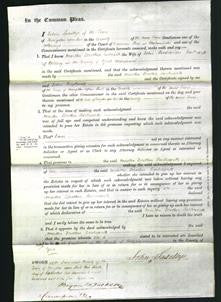 Court of Common Pleas - Martha Dorothea Barkworth-Original Ancestry