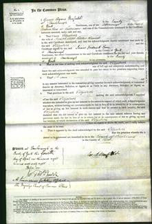 Court of Common Pleas - Elizabeth Kennett-Original Ancestry