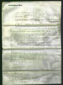 Court of Common Pleas - Mary Ann Priest-Original Ancestry