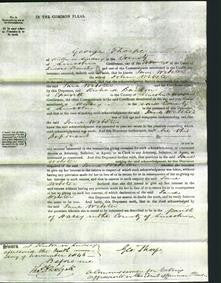 Court of Common Pleas - Jane Webster-Original Ancestry