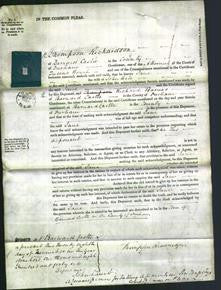 Court of Common Pleas - Jane Bell-Original Ancestry