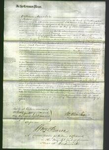 Court of Common Pleas - Sarah Cousins-Original Ancestry