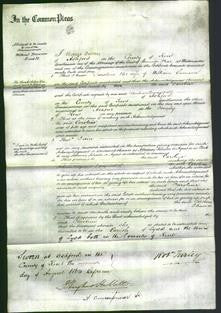 Court of Common Pleas - Caroline Samson-Original Ancestry