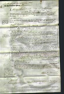 Court of Common Pleas - Emily Raikes Giddings-Original Ancestry