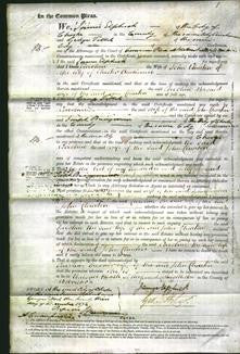Court of Common Pleas - Caroline Churton-Original Ancestry