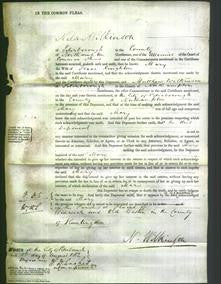 Court of Common Pleas - Mary Kinghton-Original Ancestry