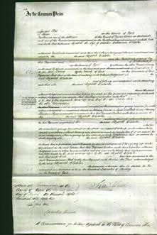Court of Common Pleas - Elizabeth Whitaker-Original Ancestry